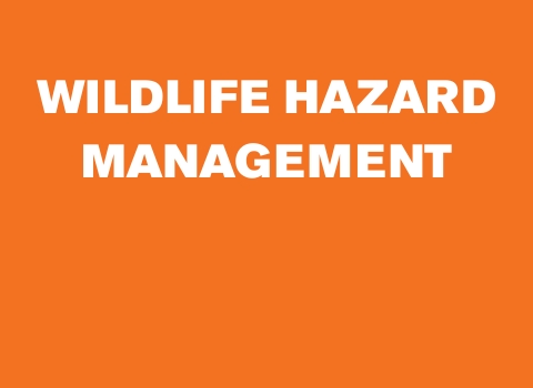 wildlife-hazard-management-header-480x350px