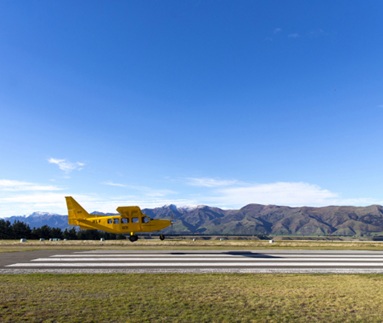 tigermoth-landing