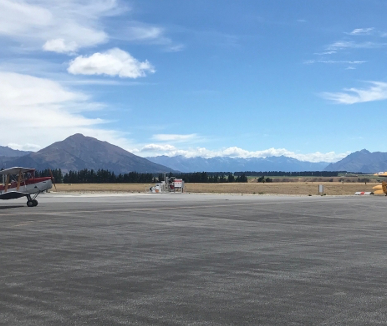 wanaka-apron-tigermoths-daniel2